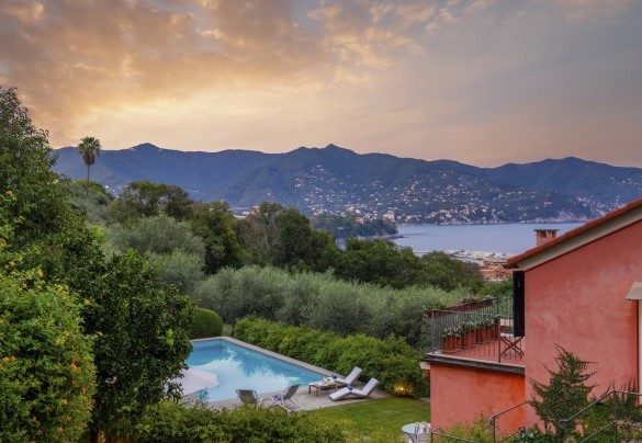 In mezzo a questo incanto di colori regnano sovrani gli ulivi secolari - Villa Bellavista