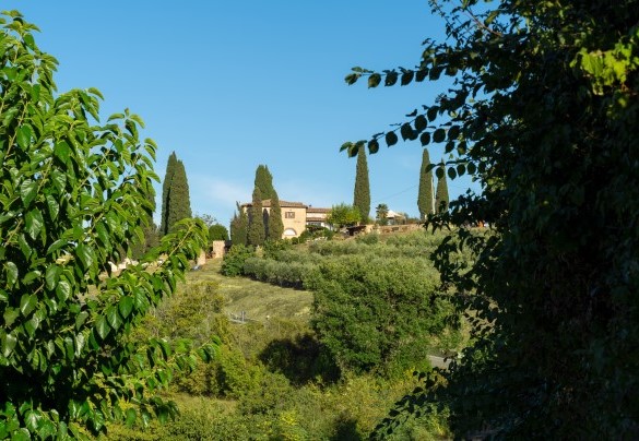 La villa vista dalla valle - Villa Beltramonto