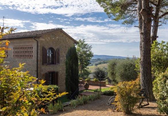 La parte laterale del giardino è a prato naturale dove svettano alti pini che regalano ampie zone d’ombra – Villa Binetti