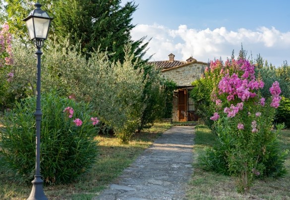 Viale d'ingresso fiorito verso le unità della tenuta - Villa Borgo San Pietro 
