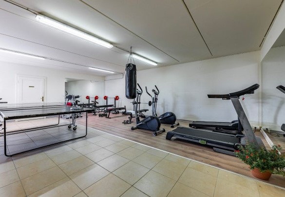 Ampio ambiente adibito a palestra e sala yoga   - Villa Borgo San Pietro 