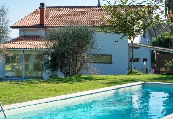 pool with porous stone edge and metal ladder - Villa Bubi