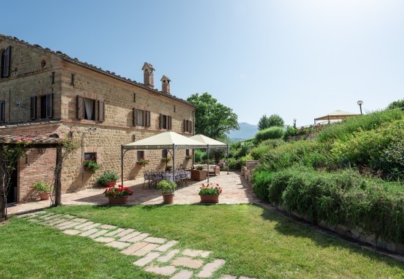 Various types of plants and flowers outline the typical crops of the area - Villa Casanostra