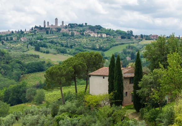 Un assortimento di piante e fiori, riuniti in un trionfo di colori e di profumi ineguagliabile: pini, ulivi, cipressi, alberi da frutto- Villa Caterina