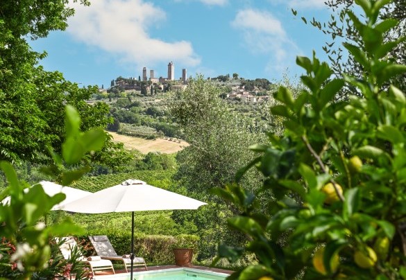 Rampicanti profumati, piante di limoni ed aiuole di gerani impreziosiscono ogni angolo del giardino  - Villa Caterina