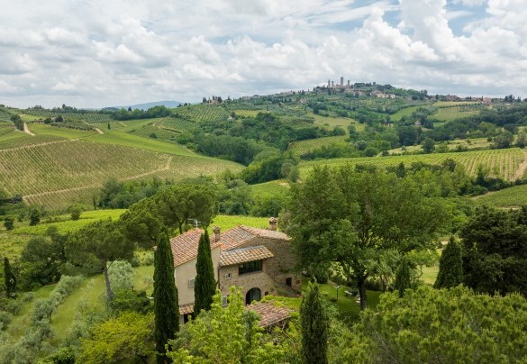 La proprietà si estende su un terreno di circa diecimila metri quadri, gran parte del quale occupato dall’oliveto che avvolge completamente il parco - Villa Caterina