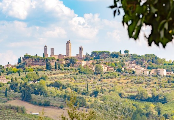 I viaggiatori potranno decidere di rilassarsi in quest’oasi di pace e di benessere naturale, dove apprezzare al meglio la tipica campagna toscana- Villa Caterina