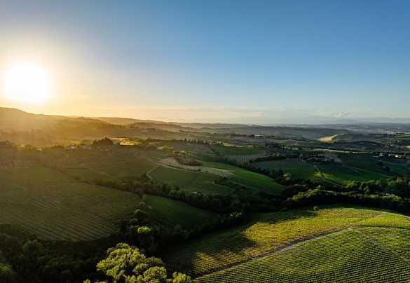 Scorci della campagna toscana - Villa Caterina