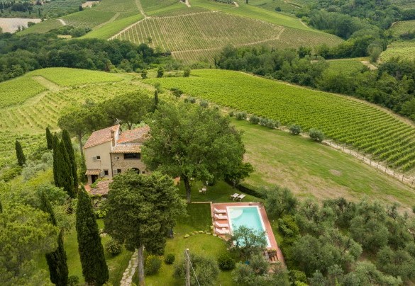 La proprietà si estende su un terreno di circa diecimila metri quadri, gran parte del quale occupato dall’oliveto che avvolge completamente il parco - Villa Caterina
