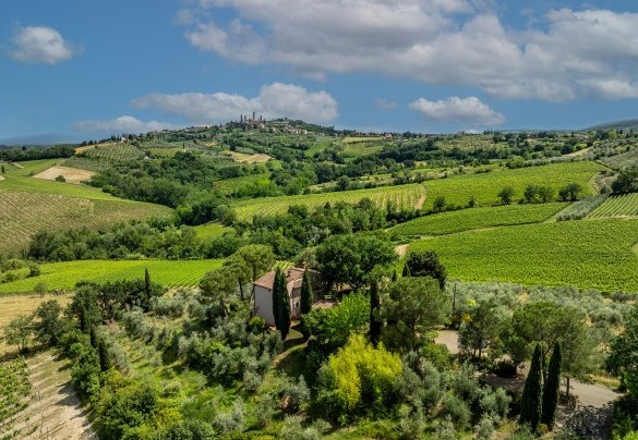 Ad appena 5 minuti dal centro storico del rinomato borgo di San Gimignano - Villa Caterina