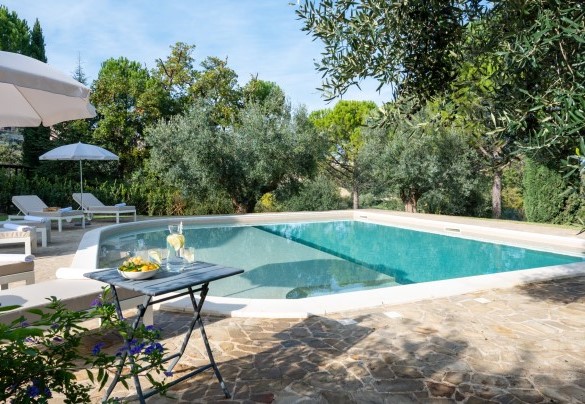 The swimming pool surrounded by olive trees - Villa Cherubini