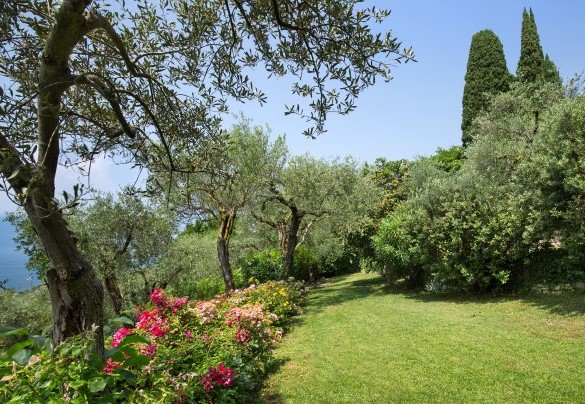 Garden views - Villa Claudia