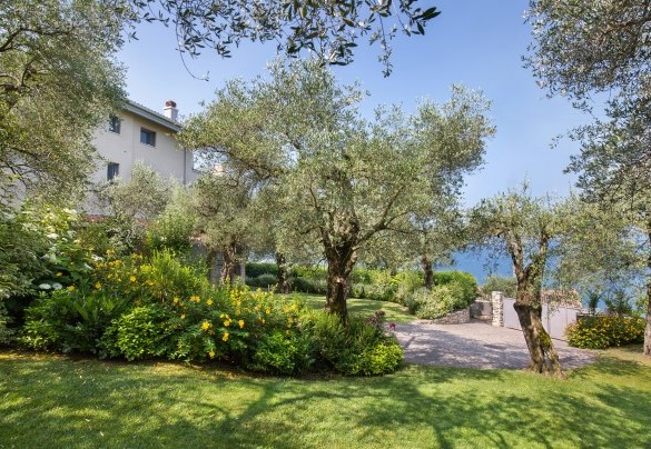 Parking area beyond the driveway gate	 - Villa Claudia