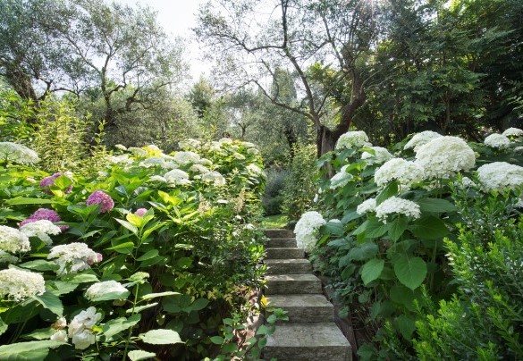 Garden views - Villa Claudia