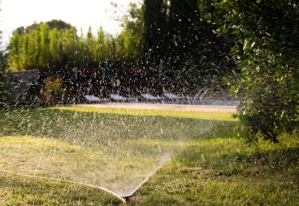Lawn Watering - Villa Collegigliato