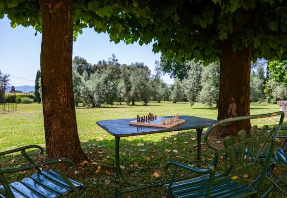 Relax in the shade of the trees - Villa Collegigliato