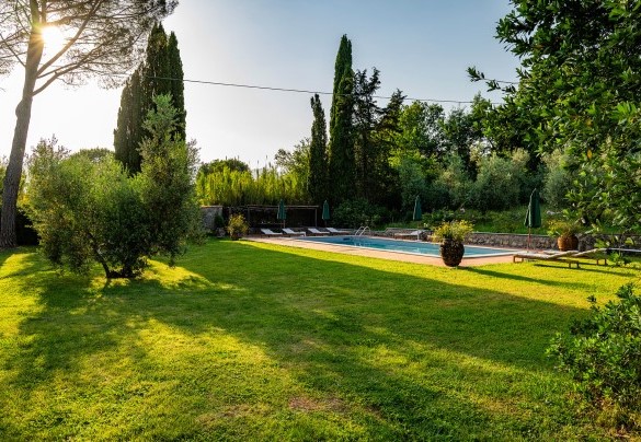 The swimming pool surrounded by nature - Villa Collegigliato