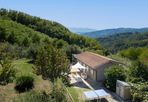 The property embraced by typical Tuscan vegetation such as a olive grove, fruit trees and various aromatic herbs - Villa Cristina   