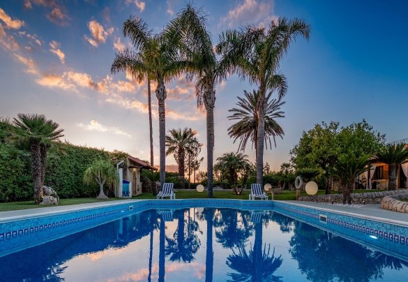 Alcune palme si innalzano su un lato della piscina - Villa Cutrera