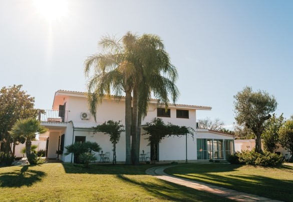 The park is covered mainly by lawn that surrounds the swimming pool and stretches up to the glass living room and the lateral relaxation area - Villa D’Aquino