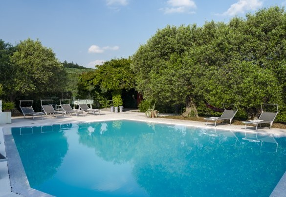 La piscina è collocata nella parte di parco che confina con l’uliveto ed è circondata da alte e ombreggianti alberature - Villa degli Ulivi 