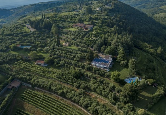 Un rigoglioso giardino, il fitto uliveto centenario ed alberi ad alto fusto circondano la proprietà - Villa degli Ulivi