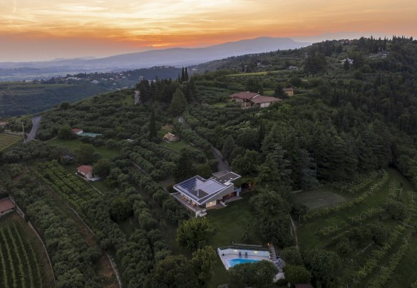 Una veduta aerea del parco che abbraccia e avvolge la villa - Villa degli Ulivi