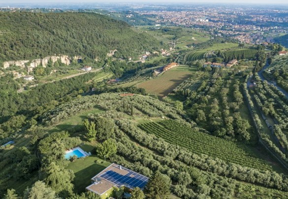 Una veduta aerea del parco che abbraccia e avvolge la villa - Villa degli Ulivi