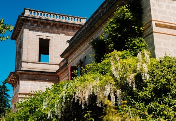 Il giardino tra la villa principale e la piscina - Villa dei Glicini
