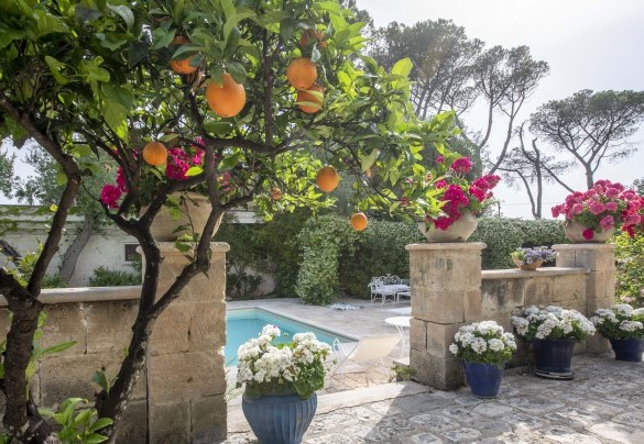 La natura dal sapore mediterraneo a bordo piscina – Villa dei Glicini