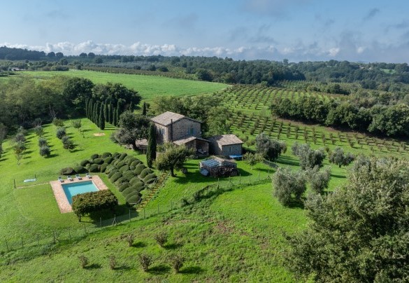 The property on the hill surrounded by hazelnut and olive trees - Villa dei Rosmarini