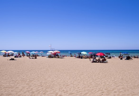 The pristine beach near the property - Villa delle Sirene