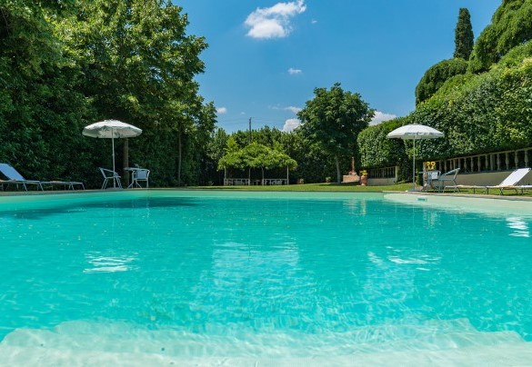 Privacy is guaranteed by a laurel hedge which separates the solarium area from the rest of the park - Villa delle Sophore