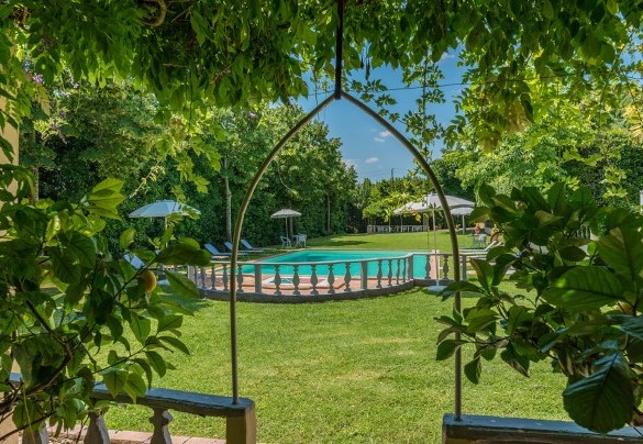 The swimming pool embraced by the green garden - Villa delle Sophore  