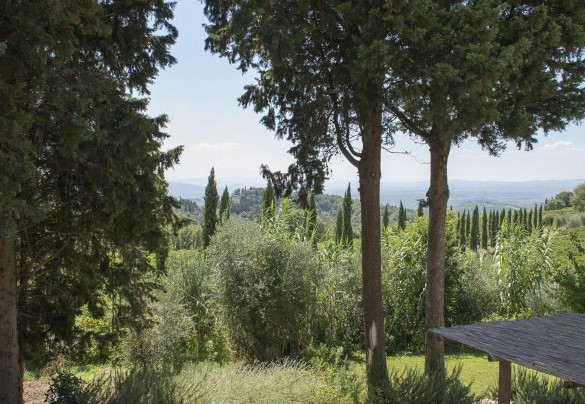 The park surrounding the villa – Villa Delle Upupe 
