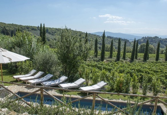 The rows of vines and the cypresses path: iconography of one of the most famous landscapes in the world – Villa Delle Upupe 