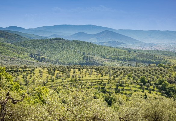 Si trova in una delle più belle zone panoramiche della piana che porta fino al centro città - Villa Desiderio  