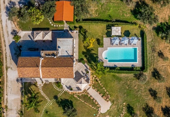 Il parco formato da olivi ed esemplari di macchia mediterranea che fanno da cornice al solarium – Villa Donna Agaver