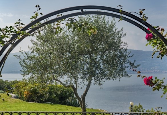  The glimpses of the panorama that can be glimpsed from the lush and well-kept park - Villa Eden