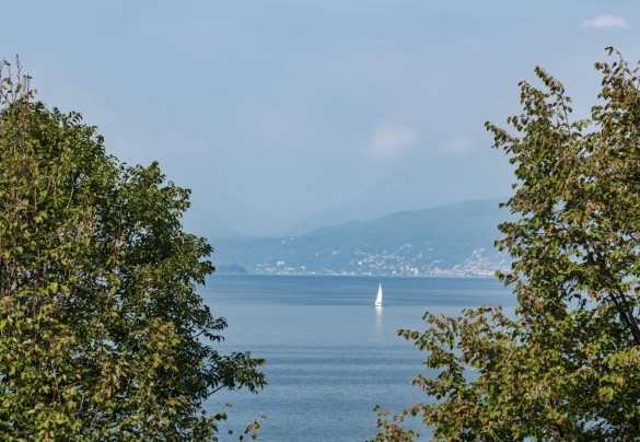 The glimpses of the panorama that can be glimpsed from the lush and well-kept park 