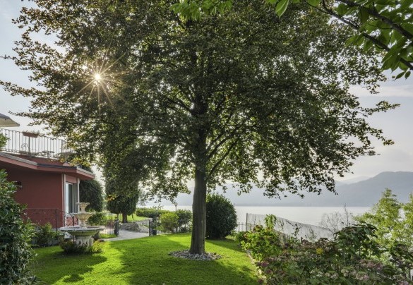 The glimpses of the panorama that can be glimpsed from the lush and well-kept park 