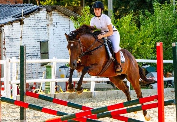 The riding near the villa – Villa Elisa 