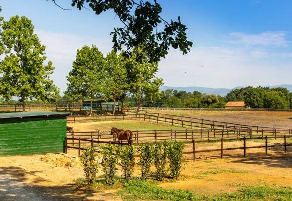 The riding near the villa – Villa Elisa 