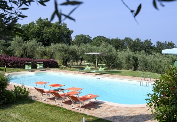 The pool surrounded by olive trees - Villa Emilianna