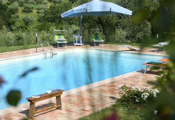 The pool seen through the vegetation - Villa Emilianna