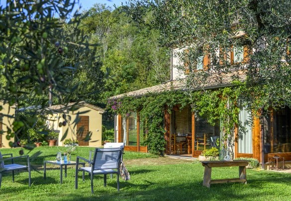 Detail of the garden - Villa Emilianna