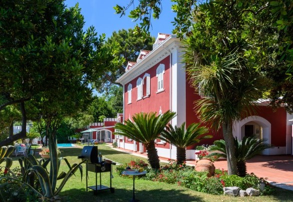 The villa amid palms and Mediterranean greenery – Villa Fiola