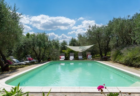 The surrounding solarium, bordered by olive trees, is equipped with sunbeds, tables and an awning . Villa Fiorentini