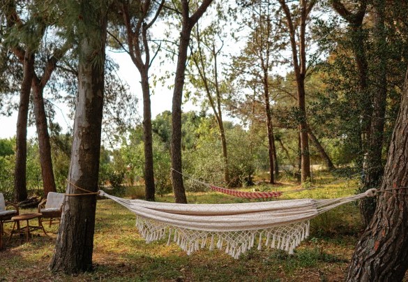 Momenti di relax sotto le querce secolari del parco - Villa Giari