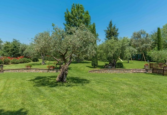 The large park that surrounds the structure – Villa Gino 